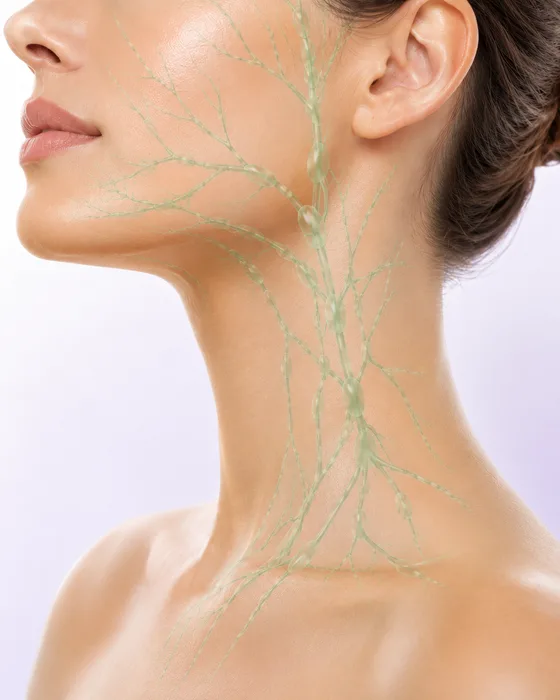 Drainage toward the lymph nodes in the neck